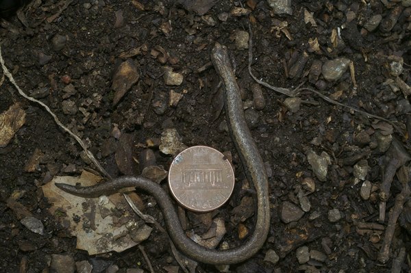 Top agences comparées : sélectionnez le bon expert pour vous